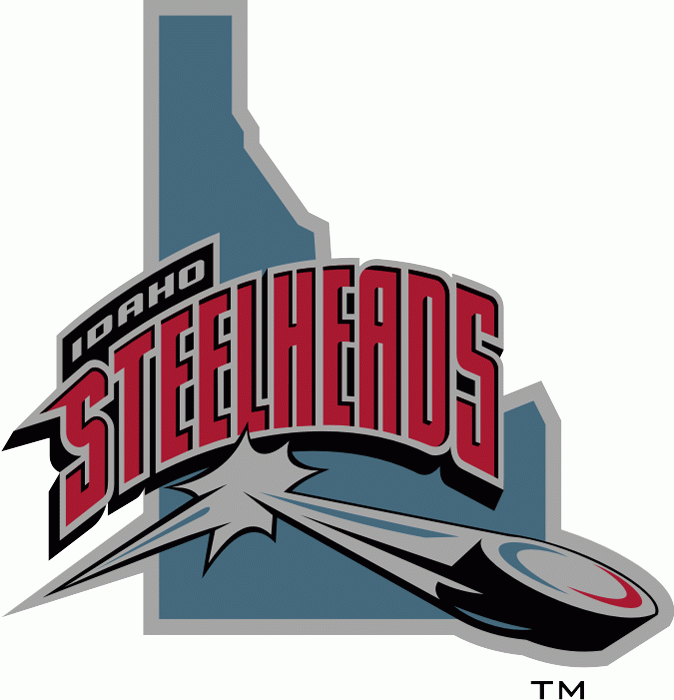 Idaho Steelheads 2004 05-2005 06 Alternate Logo iron on paper